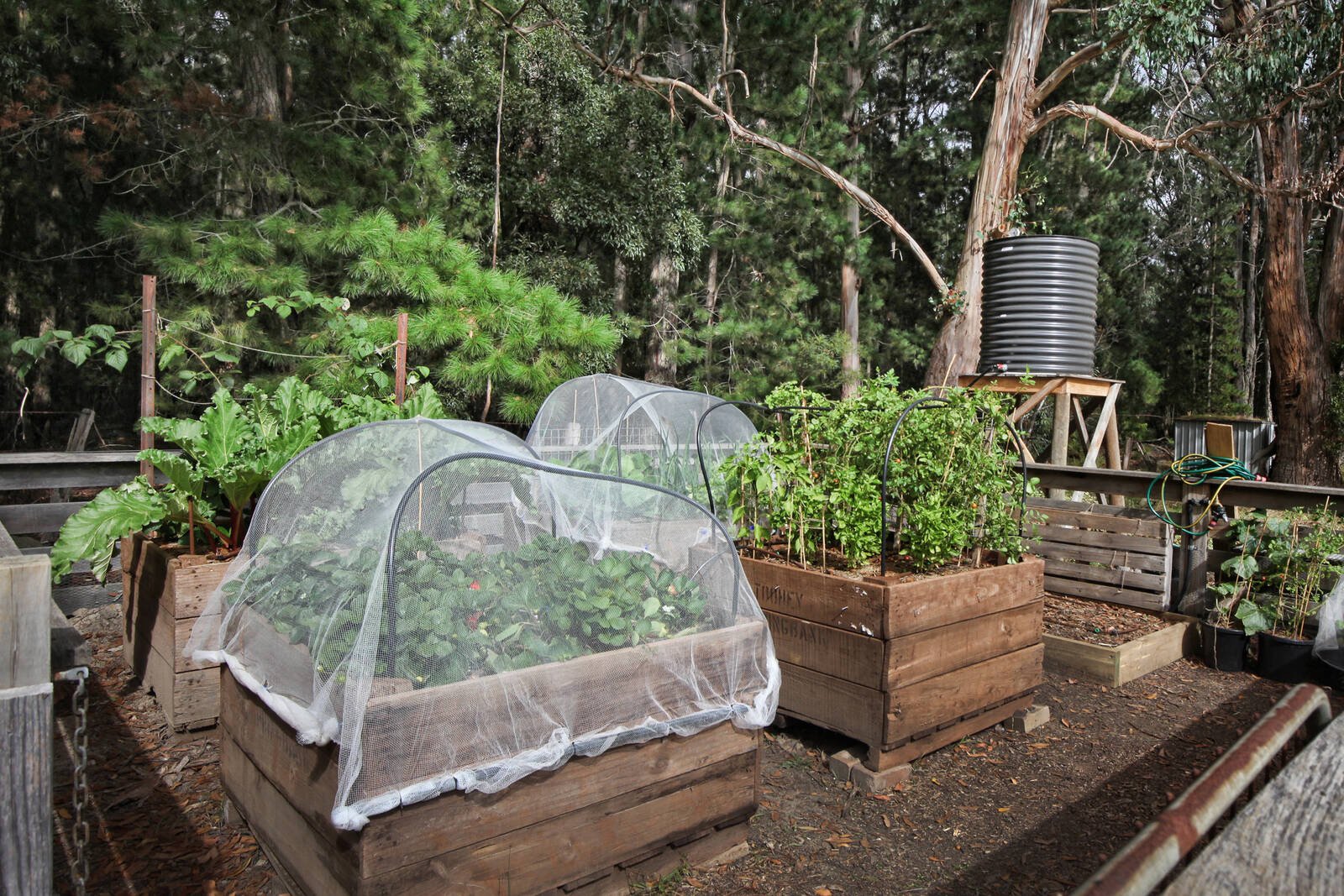 Real Estate and Property in 269 Canning Park Road, Woodend, VIC