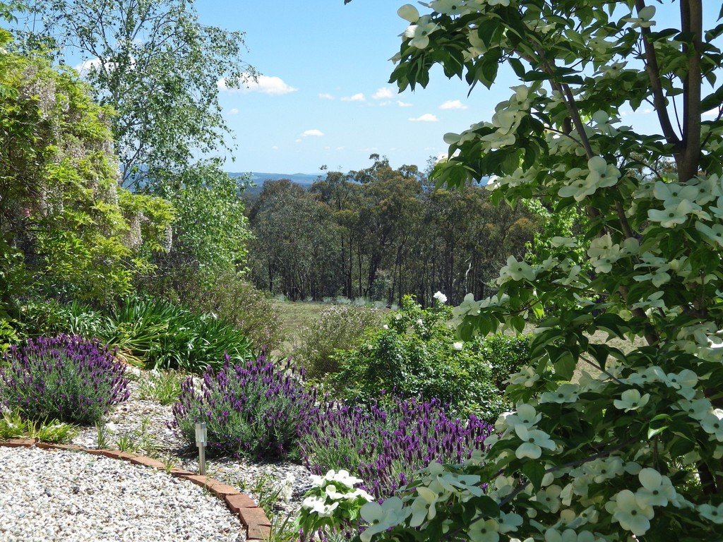 269 Downfall Road TUMBARUMBA 17