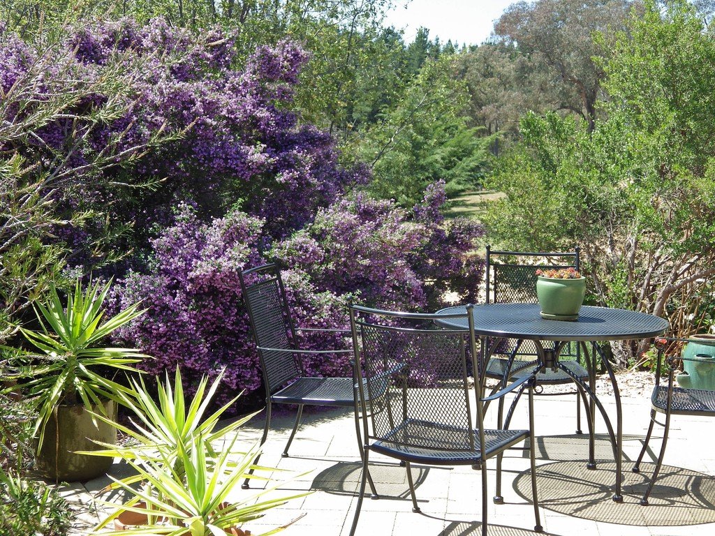 269 Downfall Road TUMBARUMBA 18