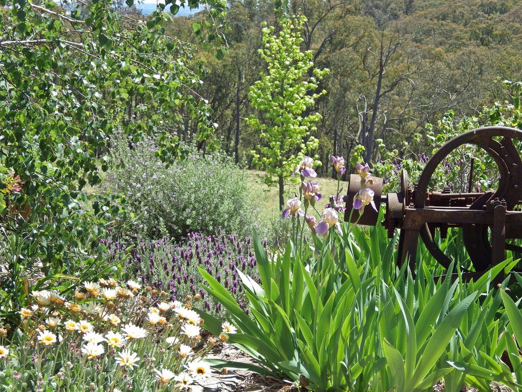 269 Downfall Road TUMBARUMBA 20