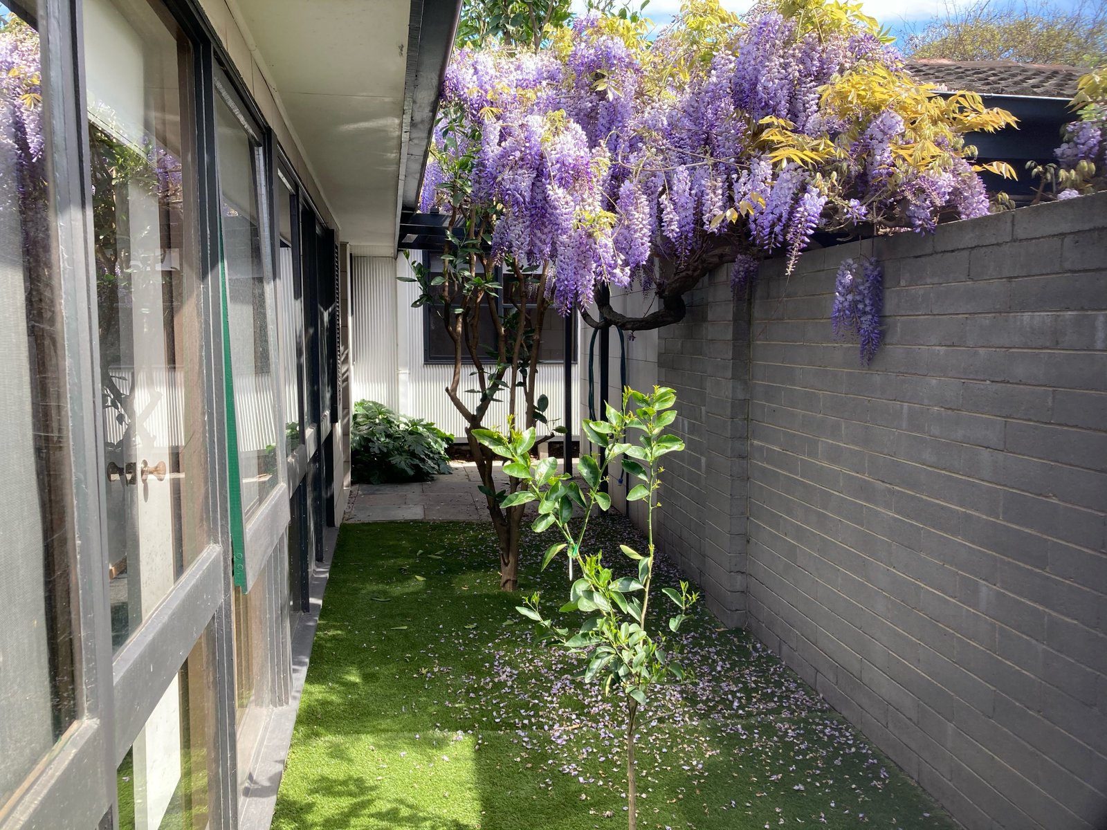 Gallery: 2/69 Spicer Street