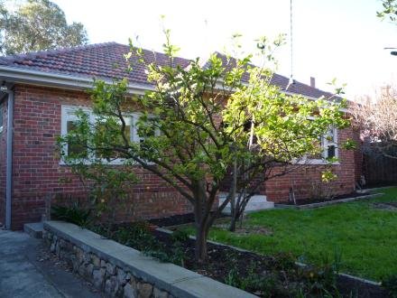 Gallery: 27 Bamfield Street