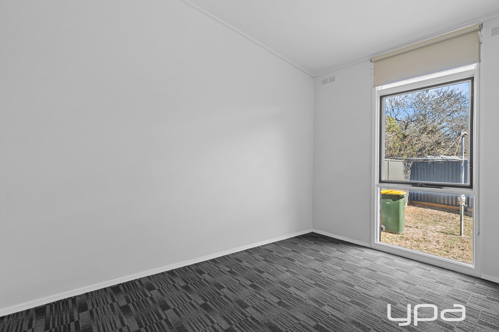 Gallery: 2/7 Coonatta Street