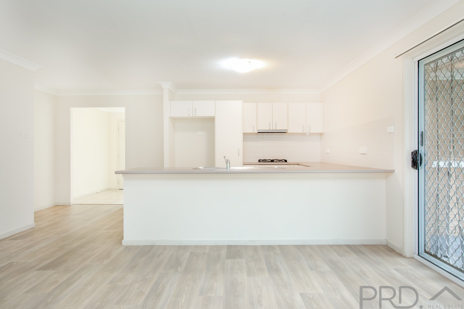 27 David Avenue EAST MAITLAND 3