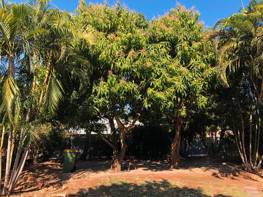 27 Guy Street BROOME 4