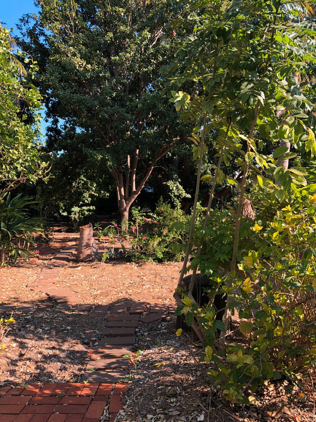 27 Guy Street BROOME 16