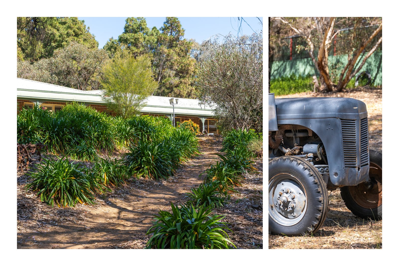 27 Henschke Avenue SAN ISIDORE 26