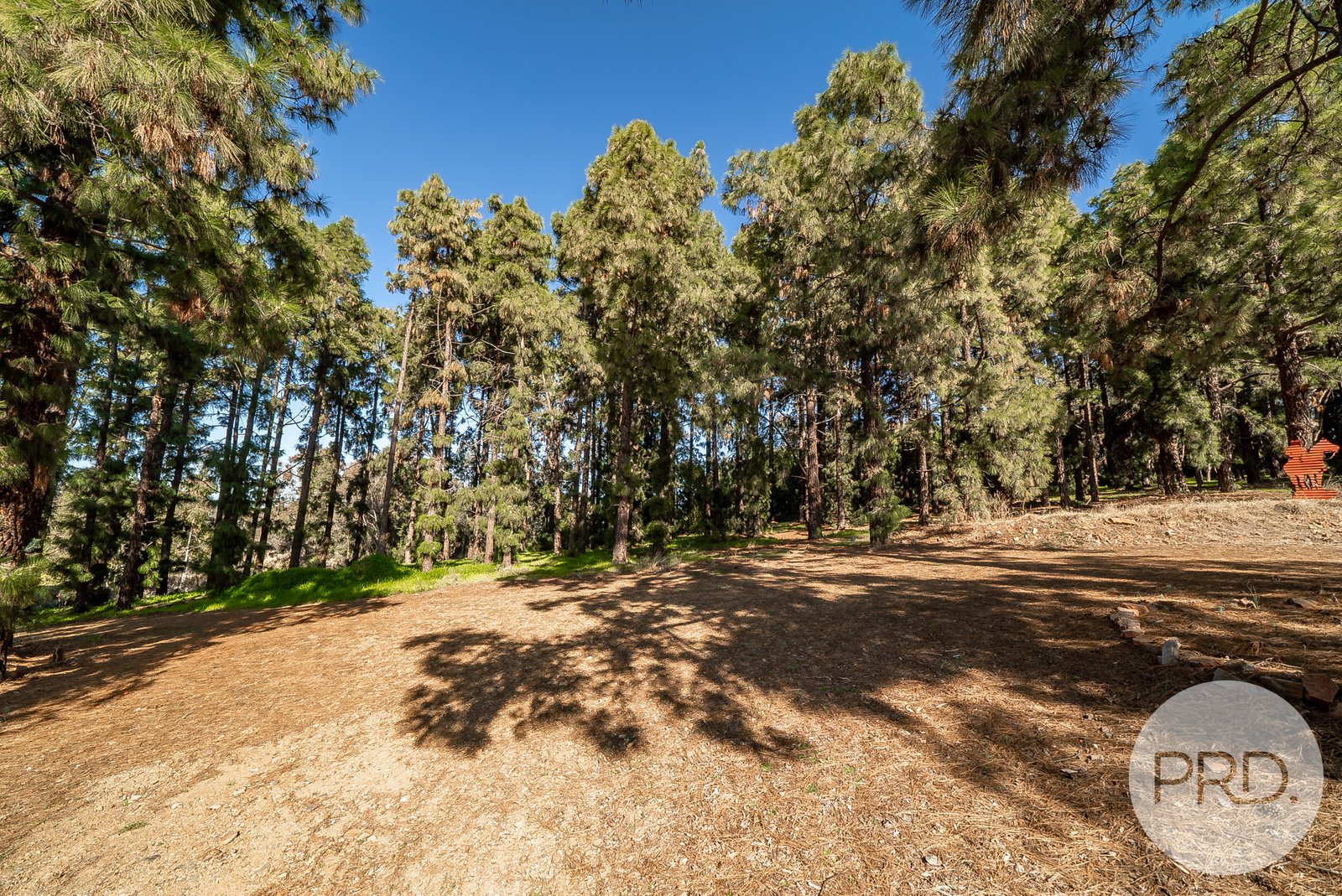 27 Henschke Avenue SAN ISIDORE 31