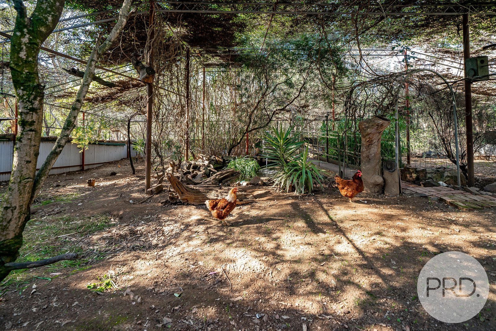 27 Henschke Avenue SAN ISIDORE 33