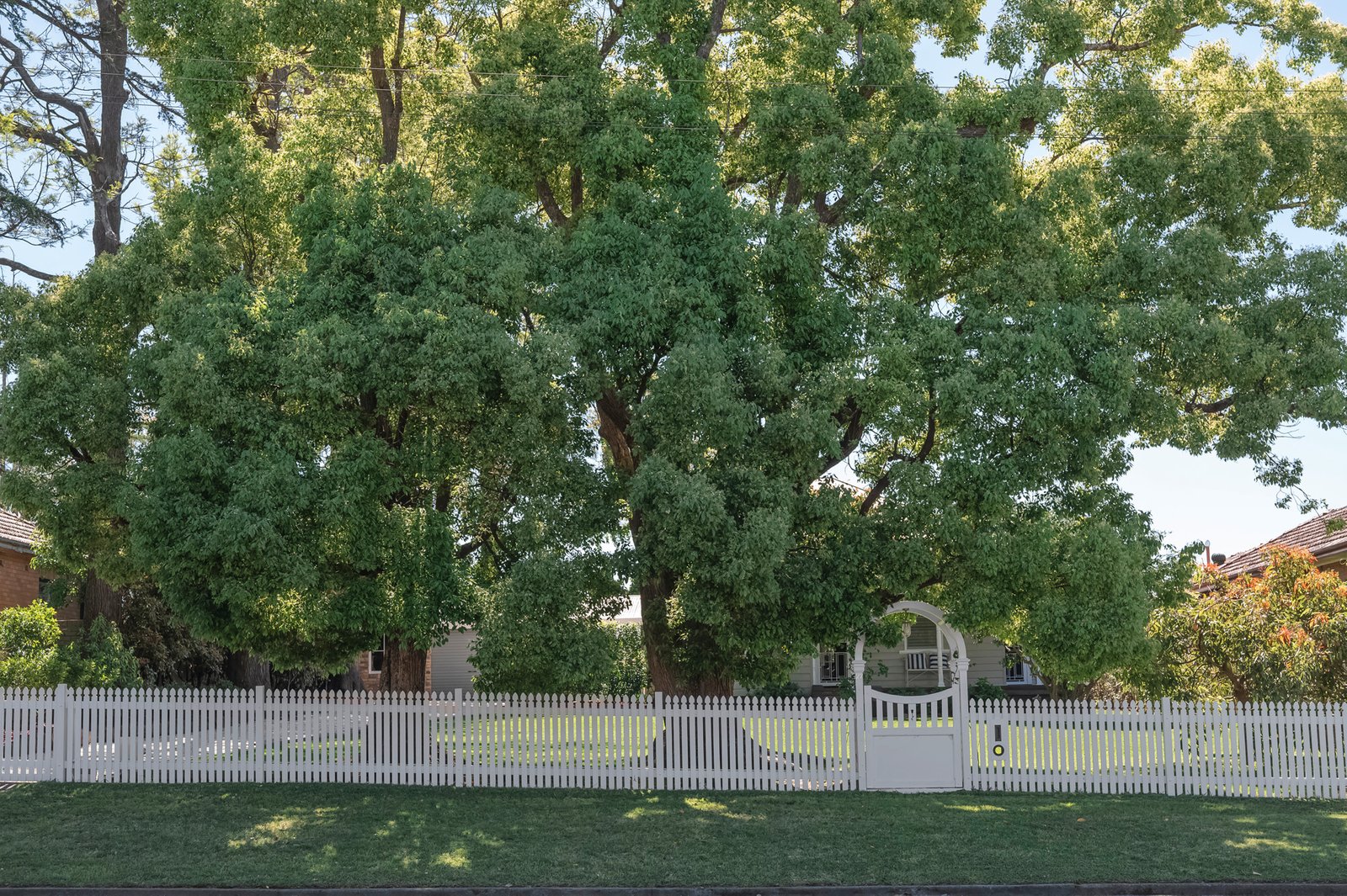 27 High Street EAST MAITLAND 31