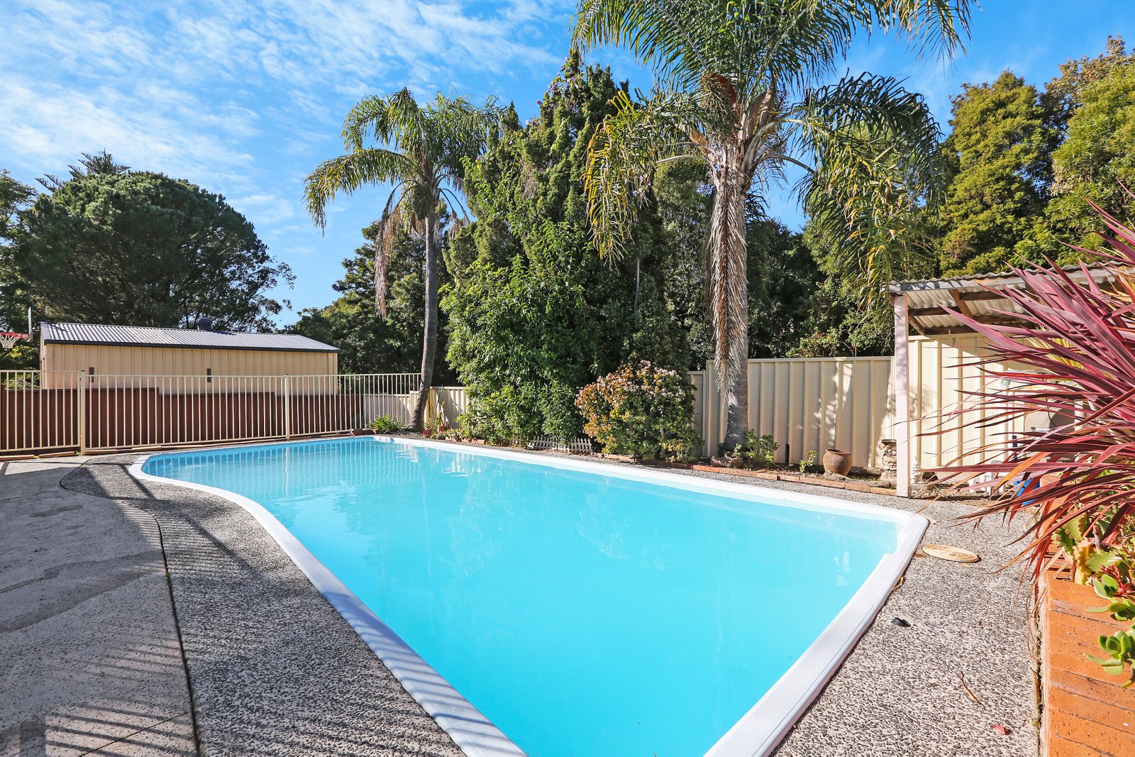 27 Jenkins Street UNANDERRA 8