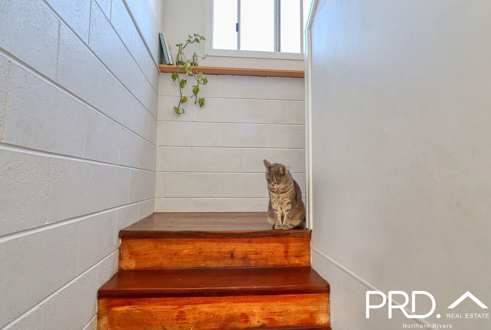 27 Larkin Street KYOGLE 8