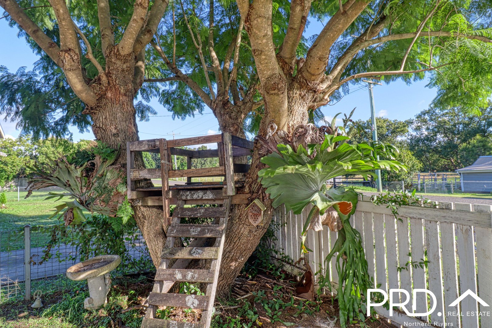 27 Larkin Street KYOGLE 12