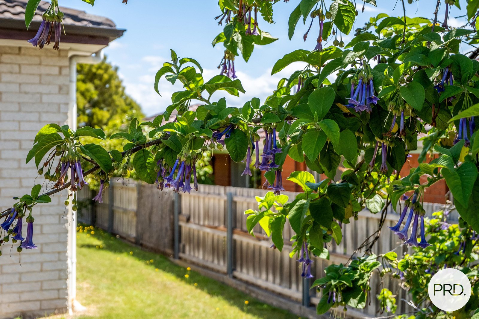 27 Lewan Avenue KINGSTON 23