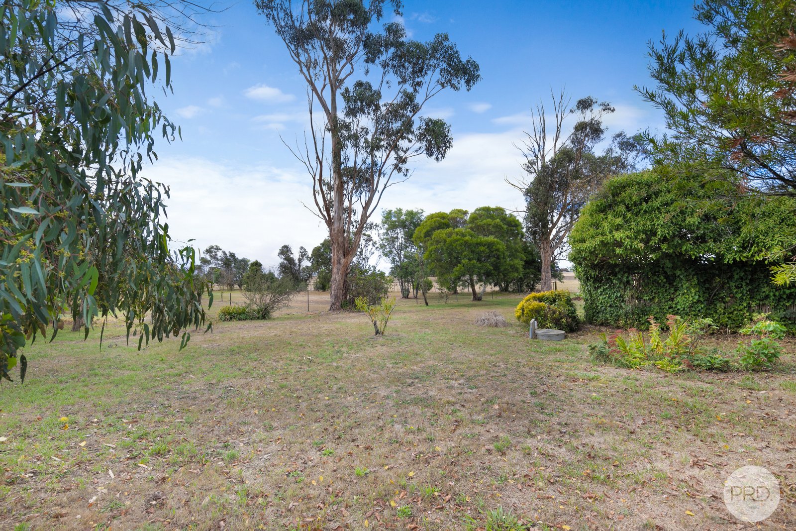 27 Murray Street SNAKE VALLEY 13