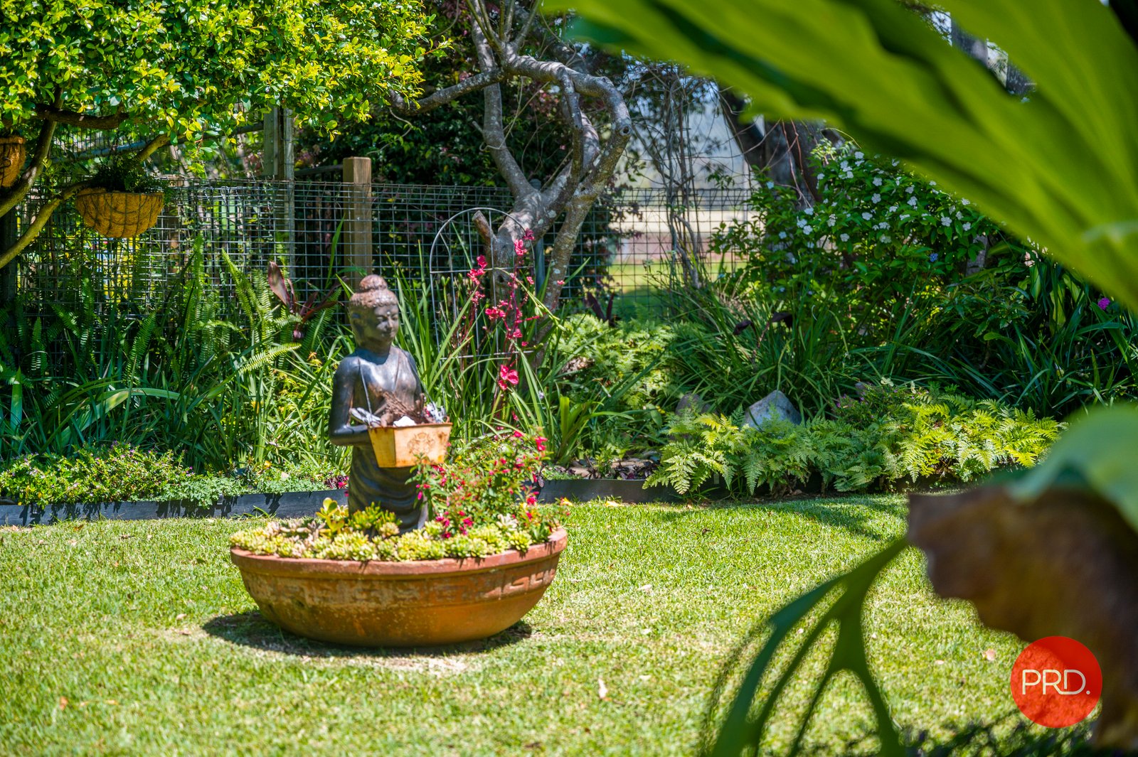 27 Norman Hill Drive KORORA 20