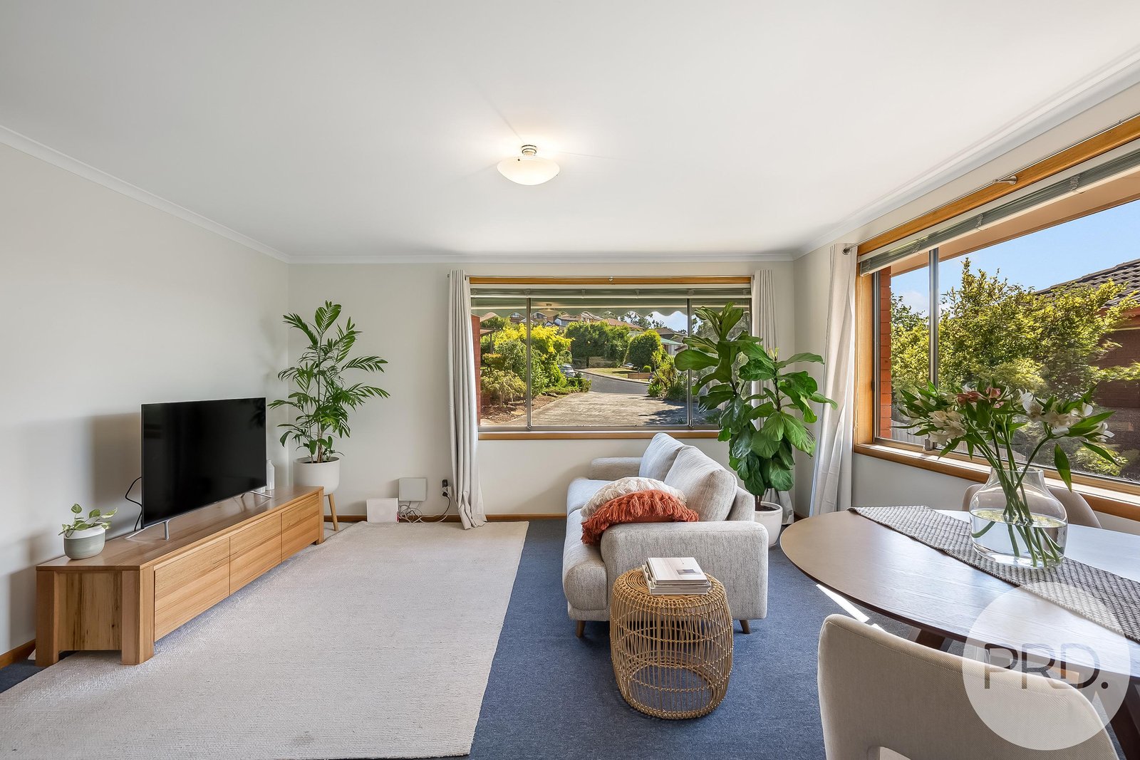 2/7 Taylor Court ROSETTA 5