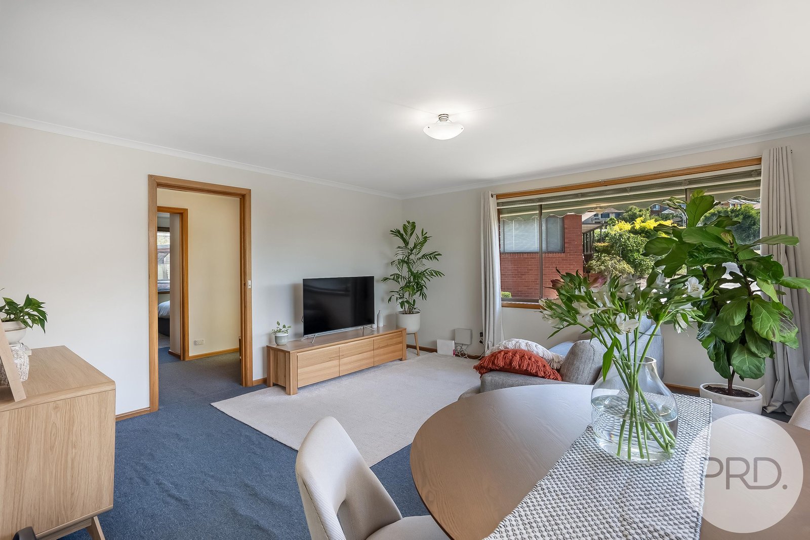 2/7 Taylor Court ROSETTA 6