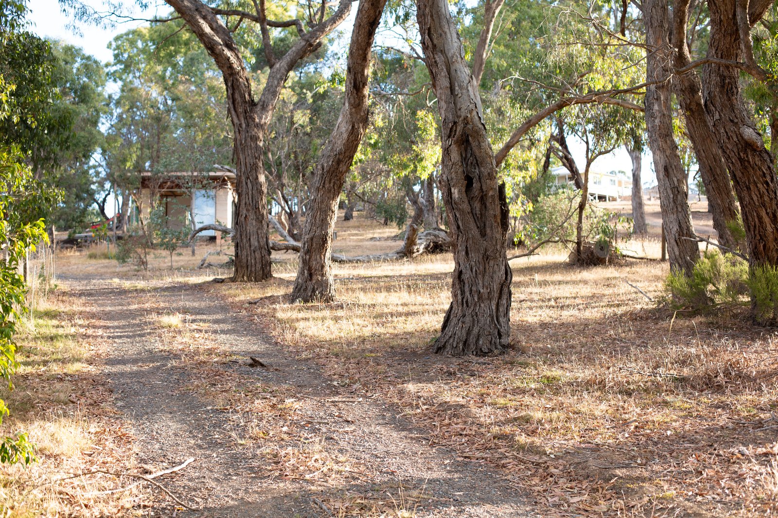 Gallery: 270 Kilmore East Road