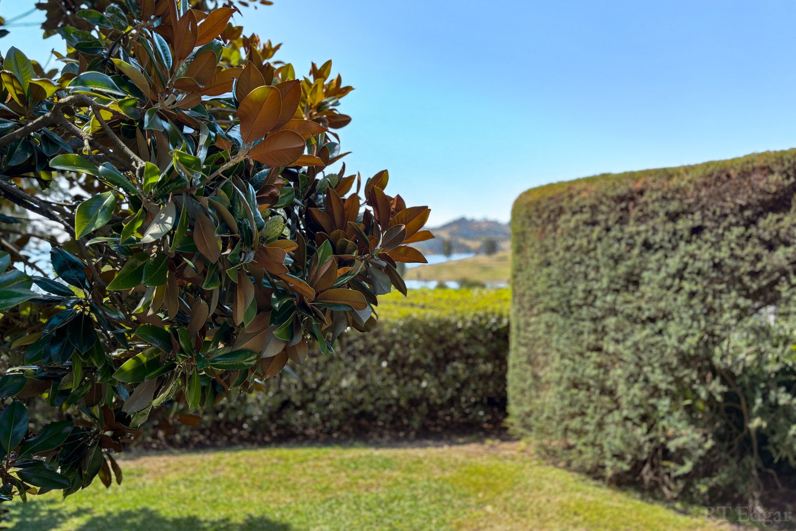 Real Estate and Property in 270 Ross Road, Howes Creek, VIC