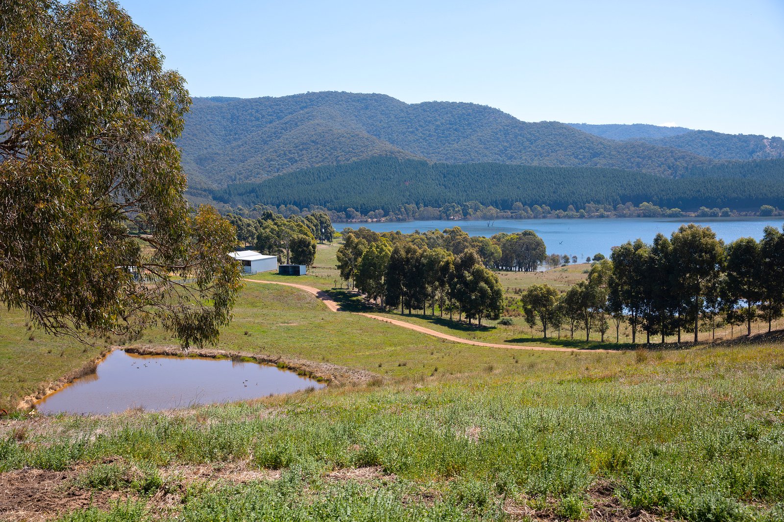 Real Estate and Property in 270 Ross Road, Howes Creek, VIC