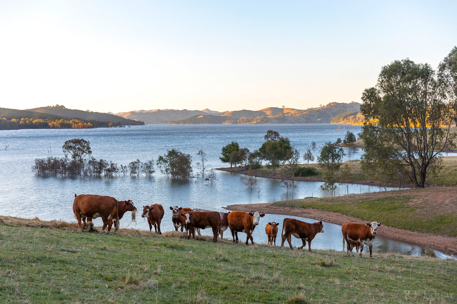 Real Estate and Property in 270 Ross Road, Howes Creek, VIC