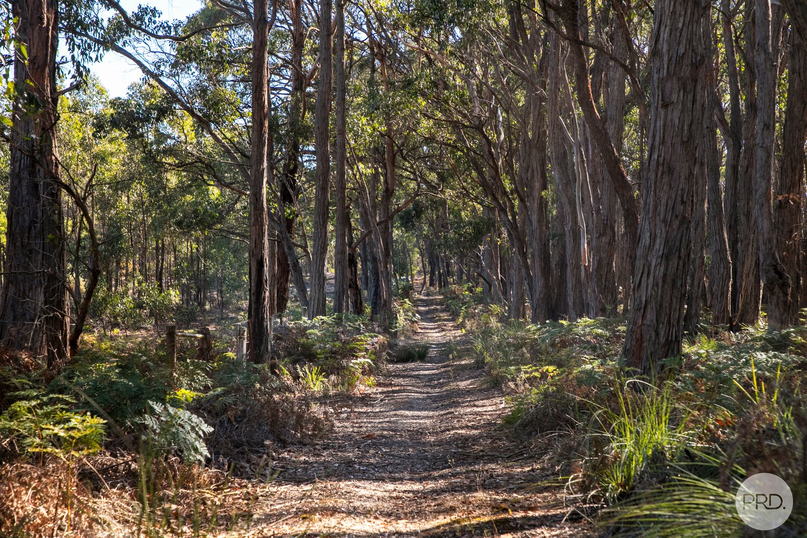 270 Tudors Road ROSS CREEK 13