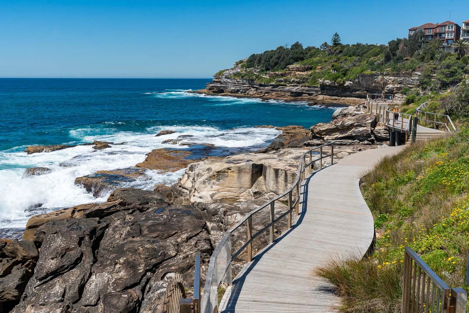 27/10 Alexander Street COOGEE 14