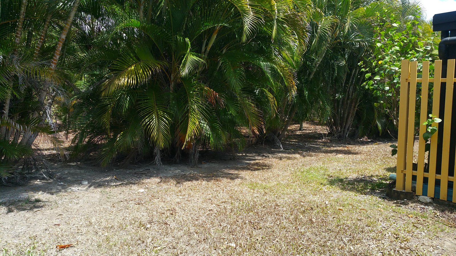 27/28 Island Drive CANNONVALE 7