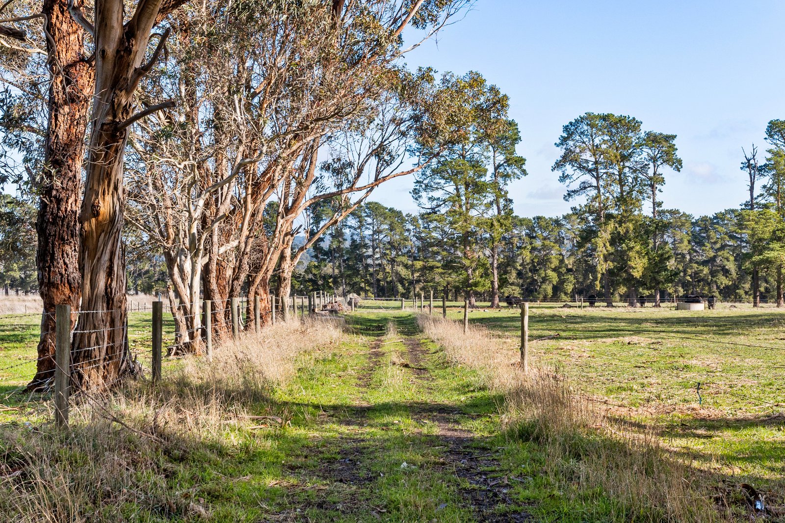Gallery: 273 Stumpy Gully Road