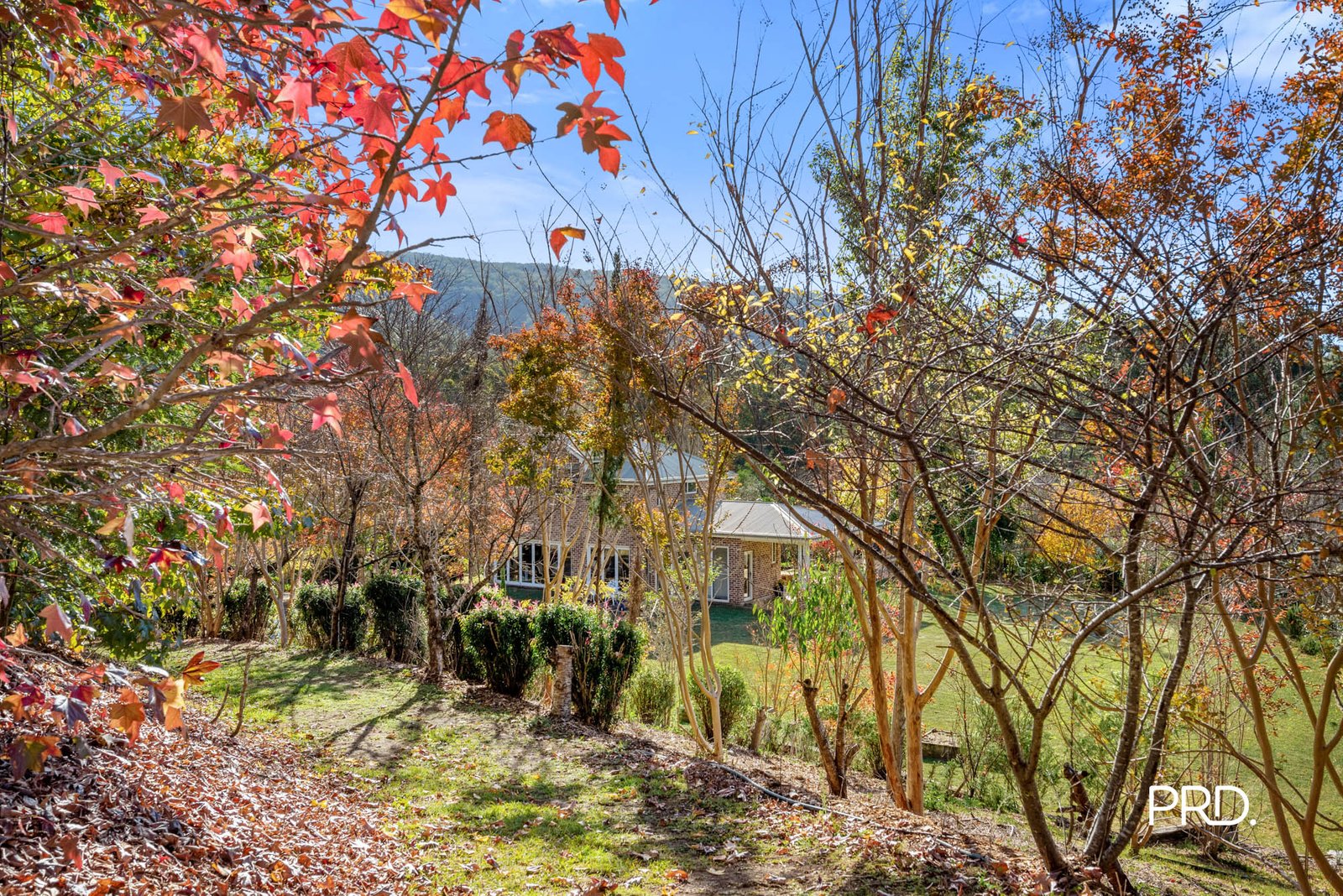 274A Hermitage Road KURRAJONG HILLS 18