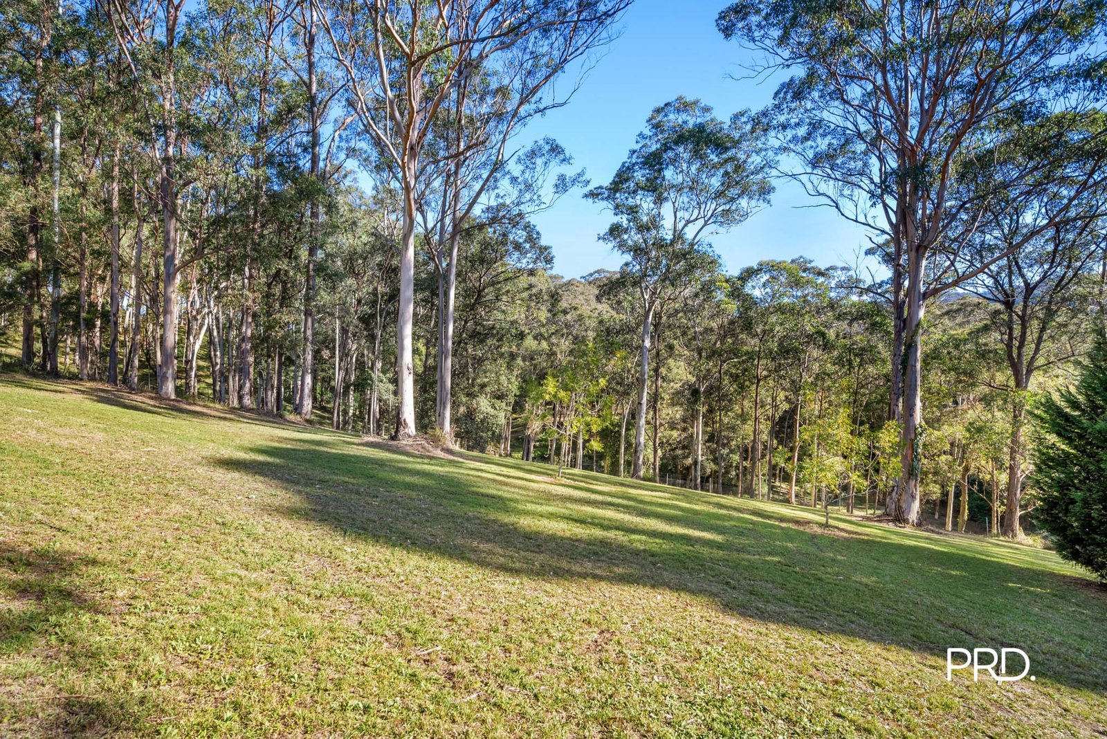 274A Hermitage Road KURRAJONG HILLS 29