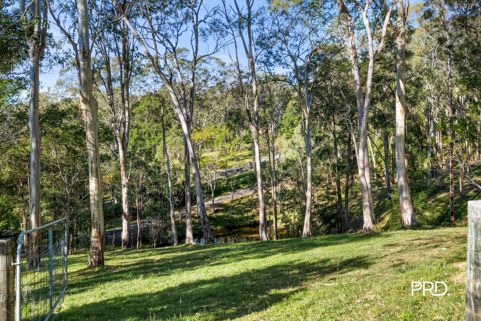 274A Hermitage Road KURRAJONG HILLS 31
