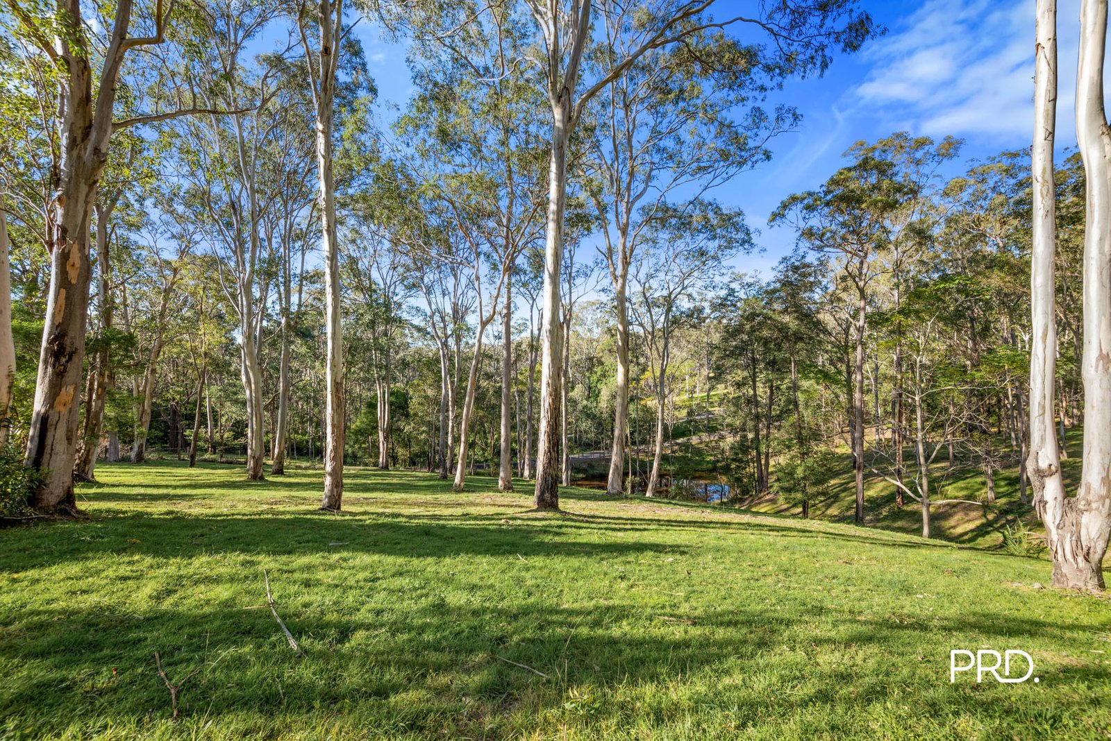 274A Hermitage Road KURRAJONG HILLS 32