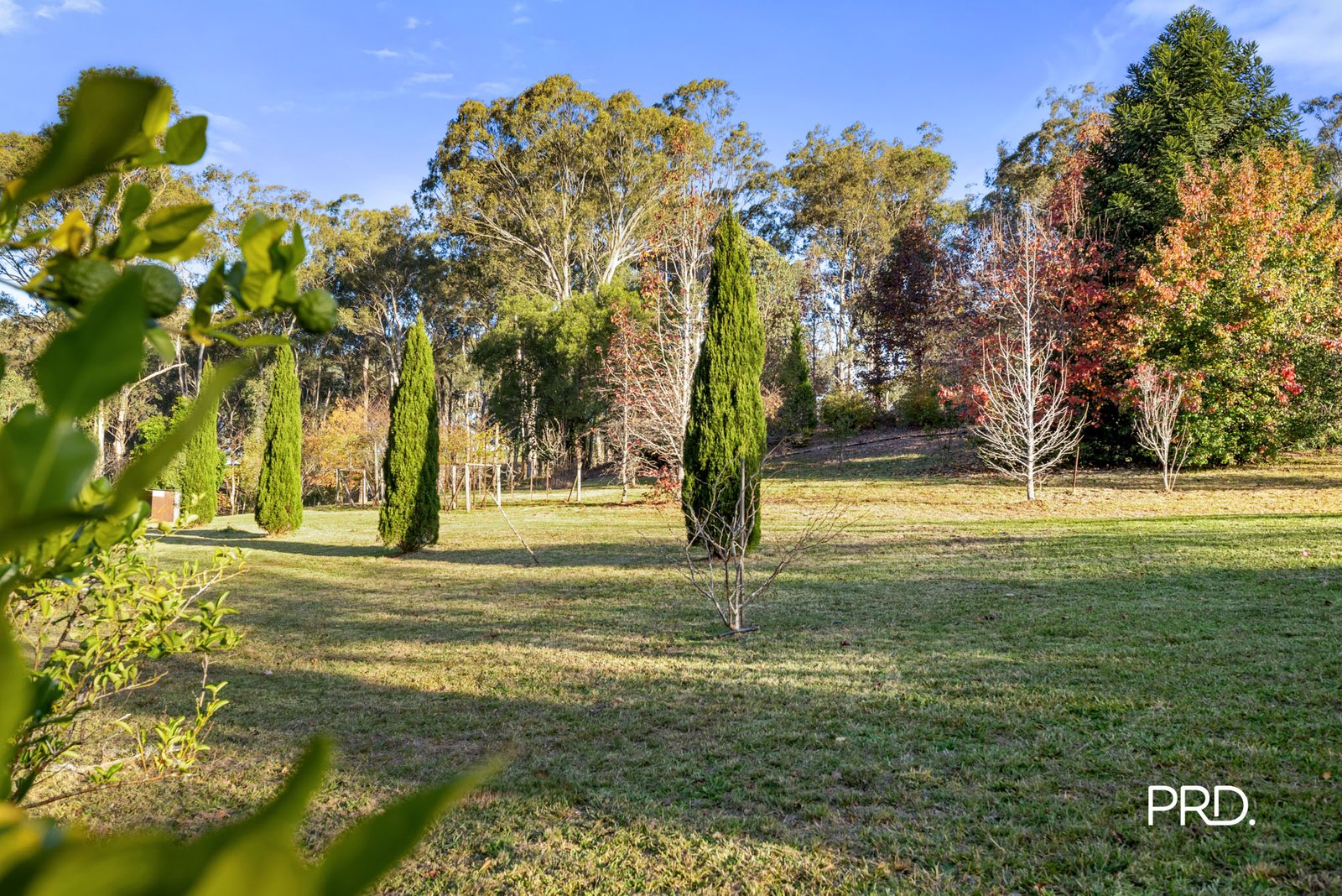 274A Hermitage Road KURRAJONG HILLS 34