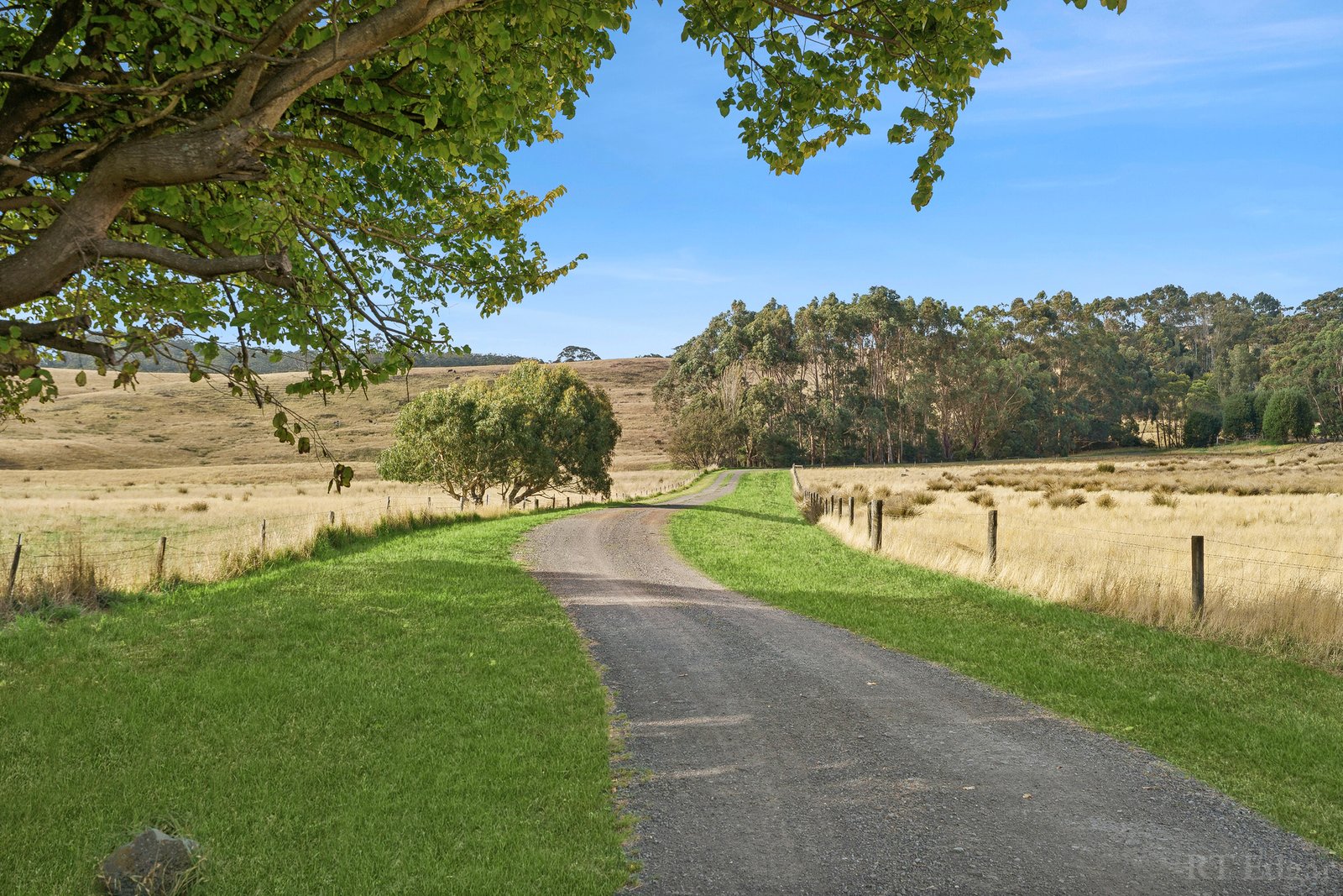 Real Estate and Property in 275 Barham River Road, Apollo Bay, VIC