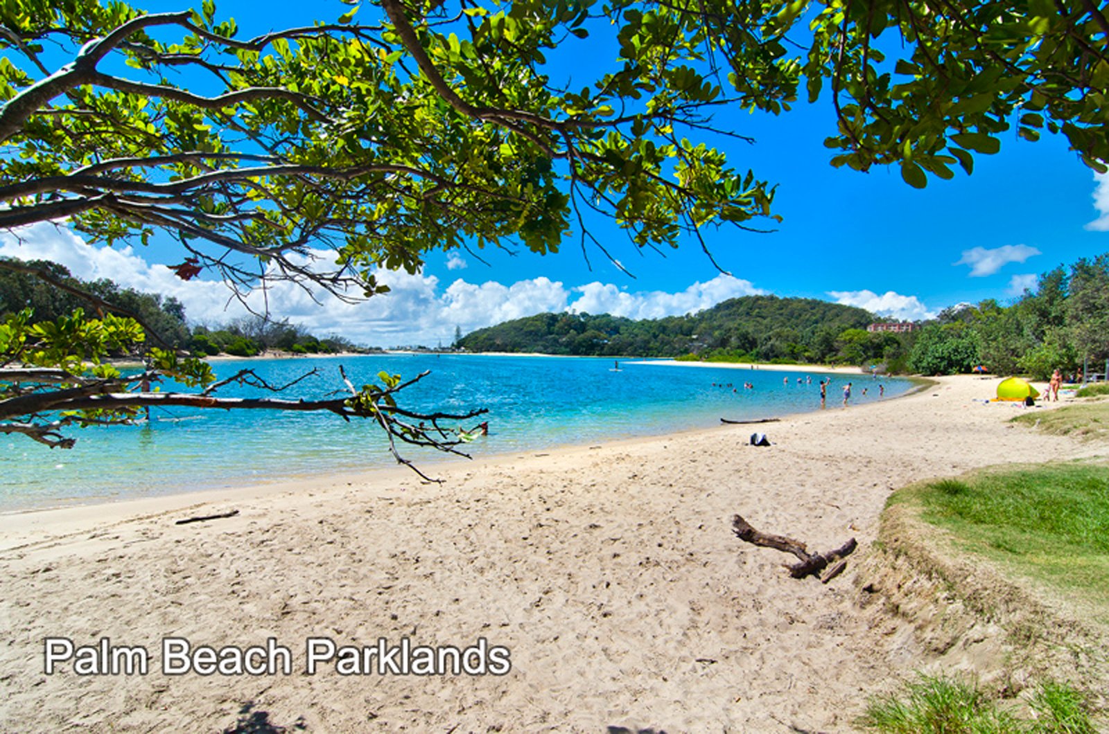 2/76 Sarawak Avenue PALM BEACH 11