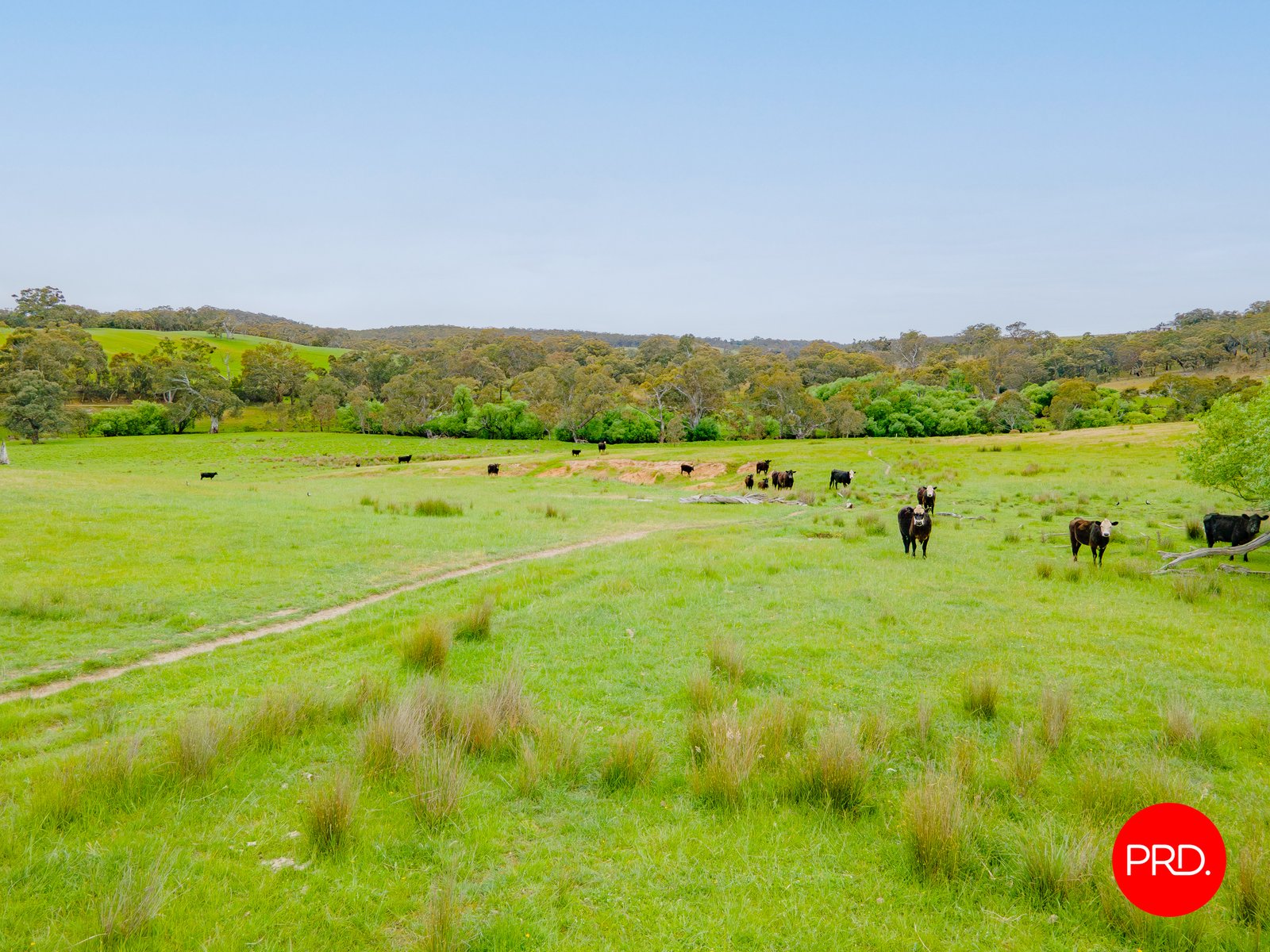 276 Spring Creek Road TARADALE 5