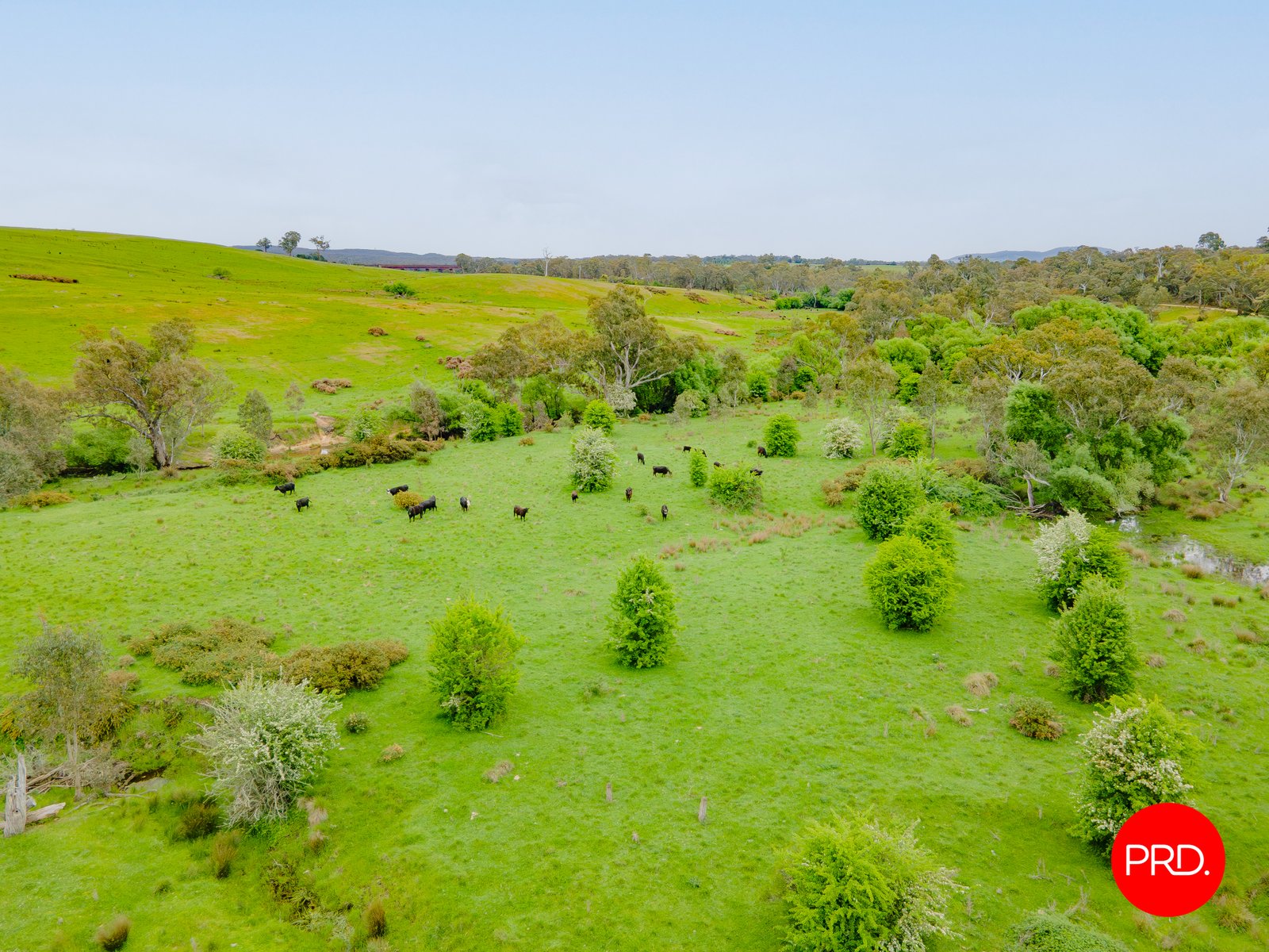 276 Spring Creek Road TARADALE 6