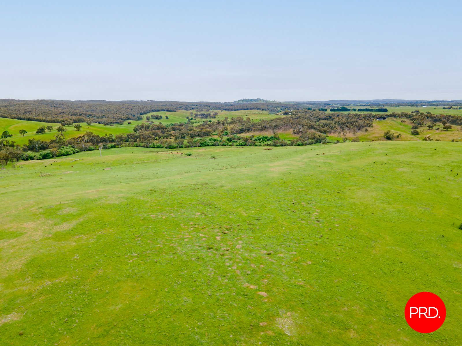 276 Spring Creek Road TARADALE 7