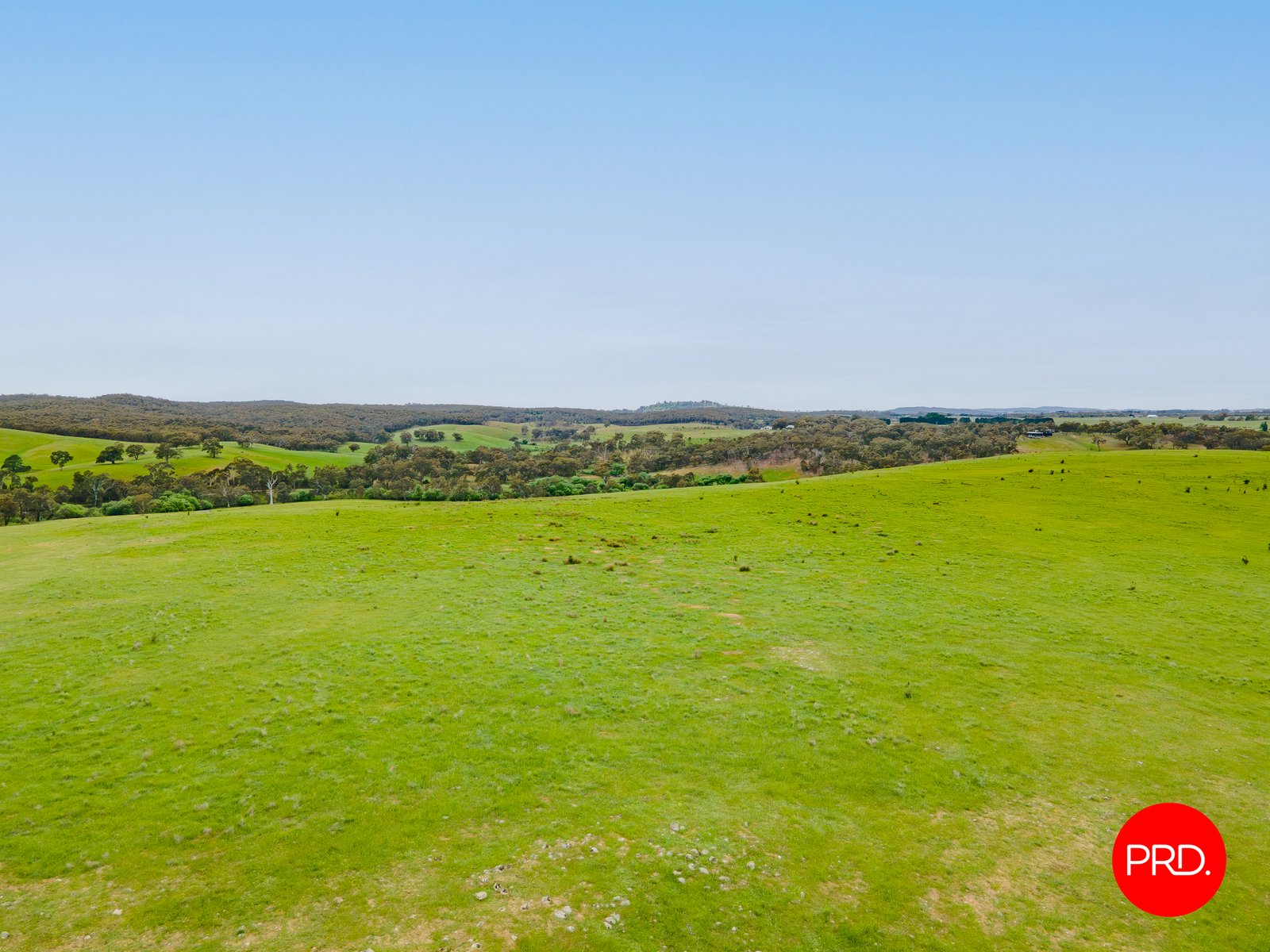 276 Spring Creek Road TARADALE 8