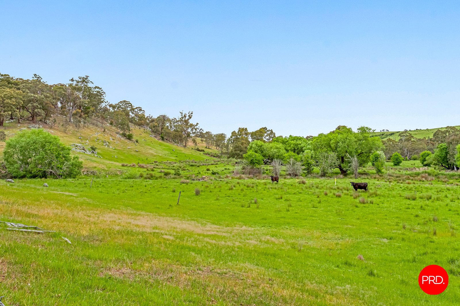 276 Spring Creek Road TARADALE 9