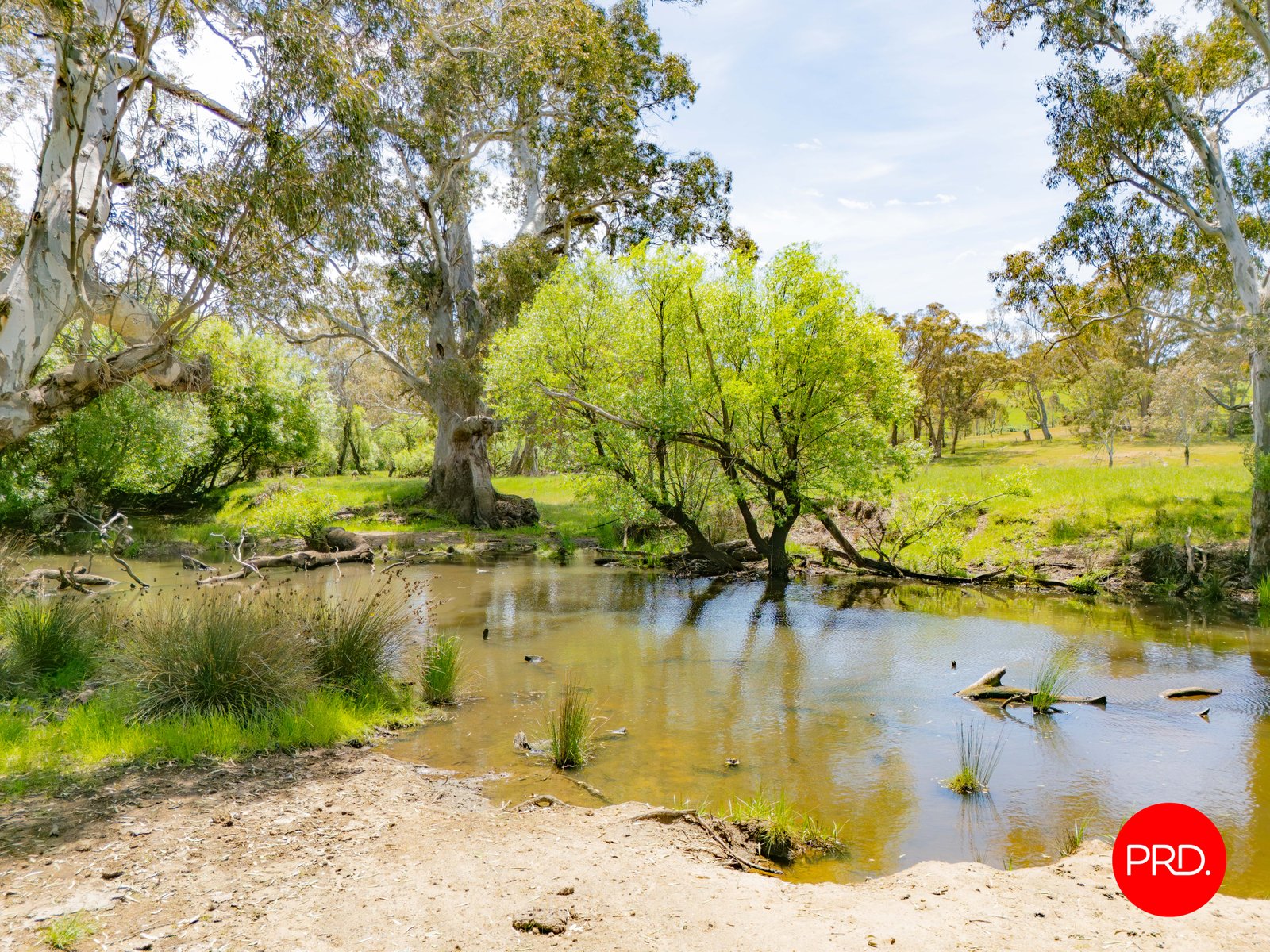 276 Spring Creek Road TARADALE 11