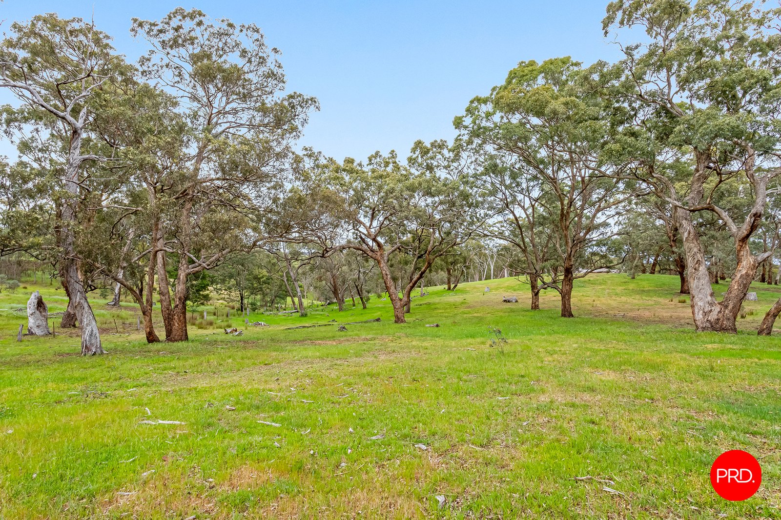 276 Spring Creek Road TARADALE 12