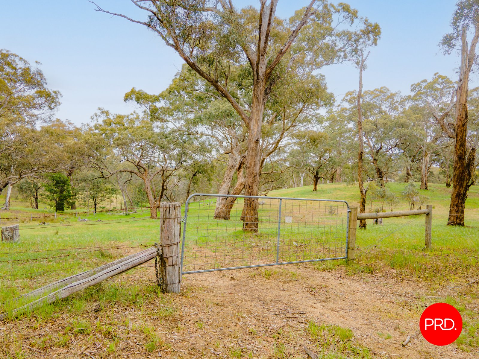 276 Spring Creek Road TARADALE 14