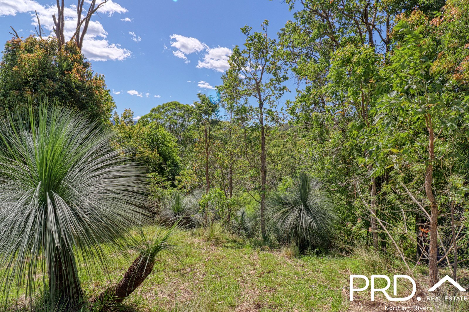 279 Sawpit Creek Road SAWPIT CREEK 19