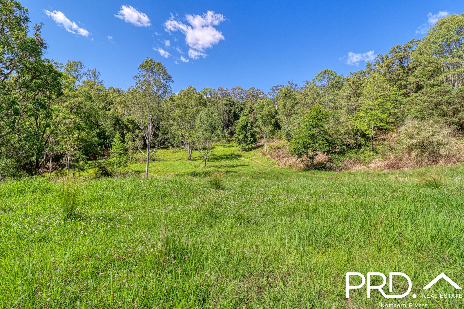 279 Sawpit Creek Road SAWPIT CREEK 20