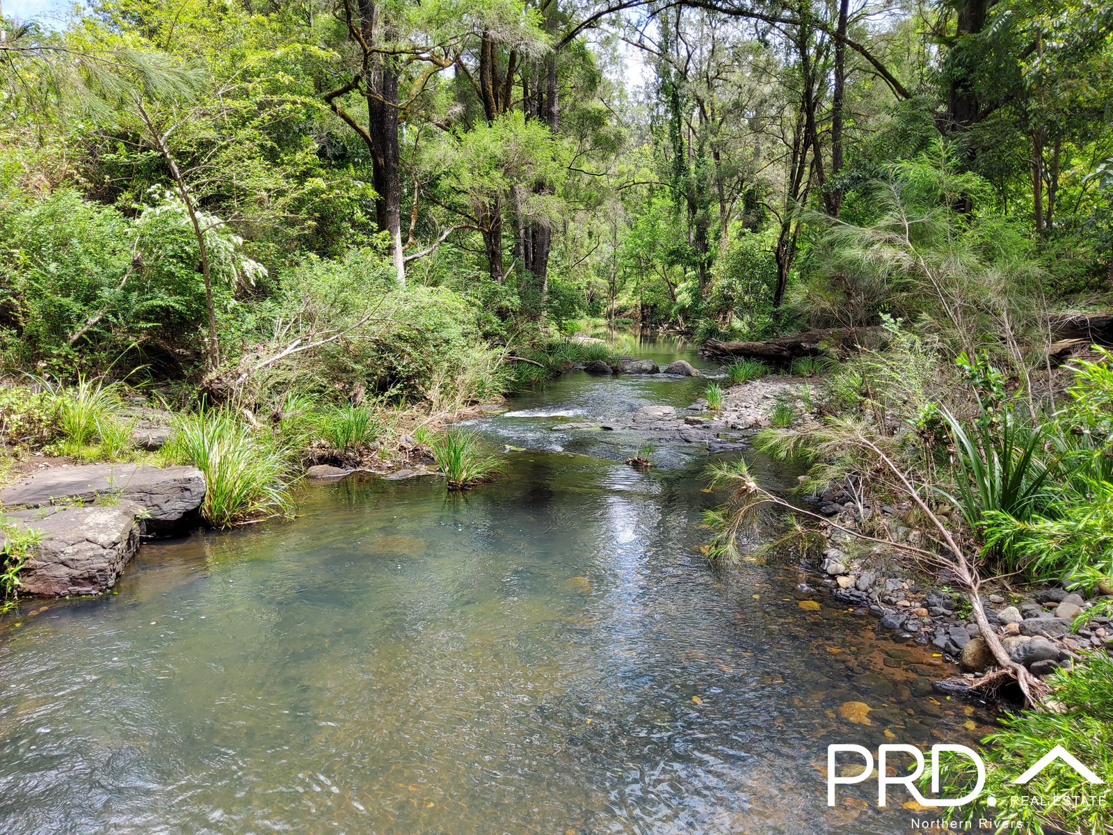 279 Sawpit Creek Road SAWPIT CREEK 21