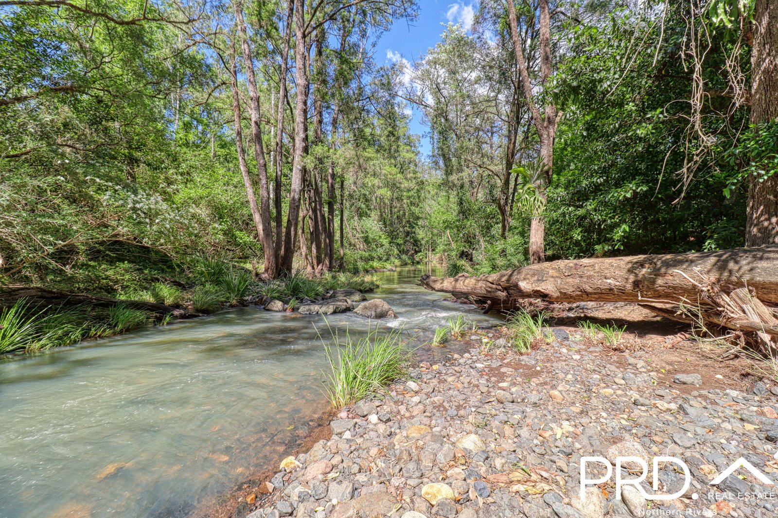 279 Sawpit Creek Road SAWPIT CREEK 22