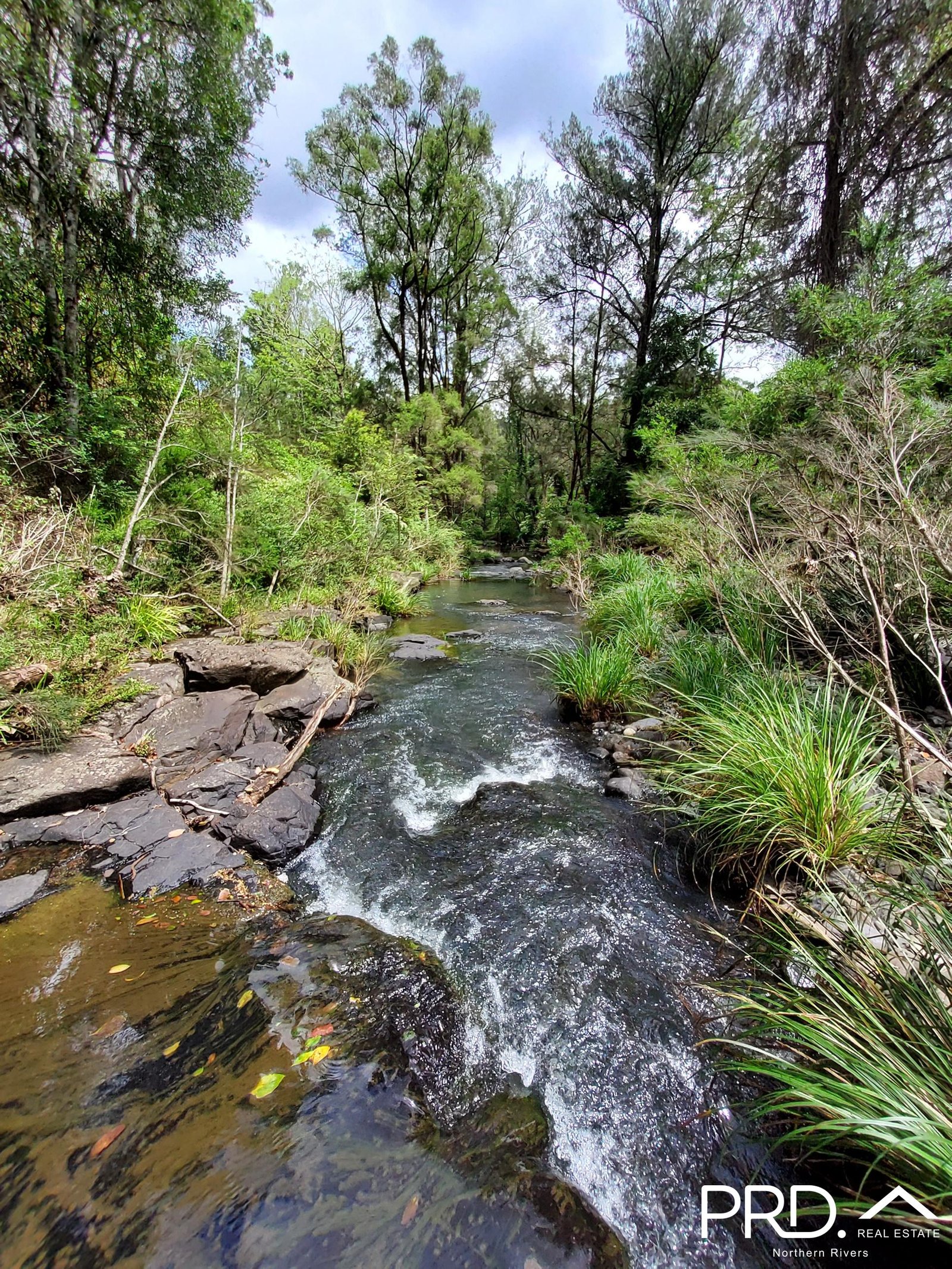 279 Sawpit Creek Road SAWPIT CREEK 23